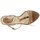 Schoenen Dames Sandalen / Open schoenen Etro 3443 Brown
