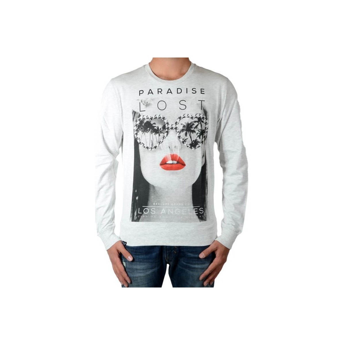 Textiel Heren Sweaters / Sweatshirts Deeluxe 58502 Grijs