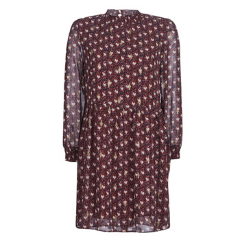 Textiel Dames Korte jurken Betty London LILY Bordeaux