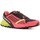 Schoenen Dames Running / trail Dynafit Alpine Pro W Graphite, Rose, Vert clair