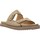 Schoenen Dames Sandalen / Open schoenen Elvio Zanon H0501P Brown