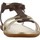 Schoenen Dames Sandalen / Open schoenen Stonefly ALISYA 1 Brown
