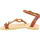 Schoenen Dames Sandalen / Open schoenen Attica Sandals APHRODITE CALF DK-BROWN Brown