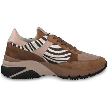Schoenen Dames Sneakers Tamaris 23782 Brown
