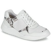 Schoenen Dames Lage sneakers Clarks SIFT LACE Wit / Phyton