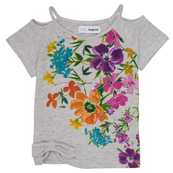 Textiel Meisjes T-shirts korte mouwen Desigual EDIMBURGO Multicolour
