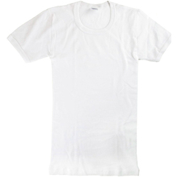 Textiel Jongens T-shirts korte mouwen Abanderado 0302-BLANCO Wit