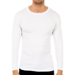 Ondergoed Heren Hemden Abanderado Pack 3-shirts en fibre m / l blanc Wit