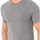 Textiel Heren T-shirts korte mouwen Abanderado A040W-GRIS-VIGORE Grijs