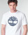 Textiel Heren T-shirts korte mouwen Timberland SS KENNEBEC RIVER BRAND TREE TEE Wit
