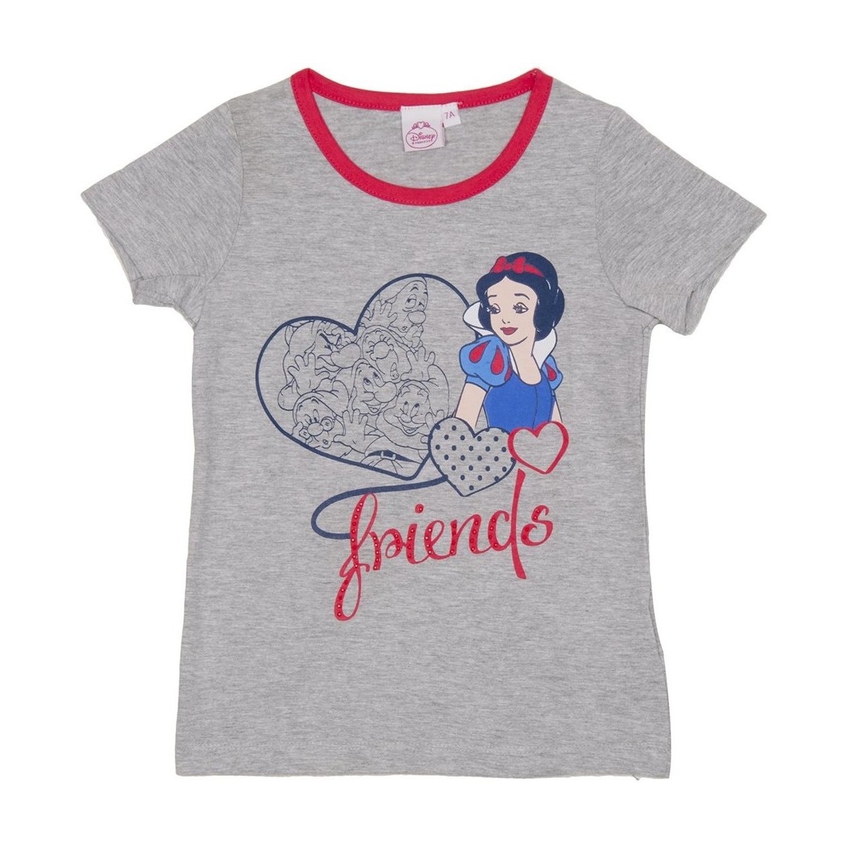 Textiel Meisjes T-shirts korte mouwen Disney WD26121-GRIS Grijs