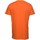Textiel Heren T-shirts & Polo’s Fila SEAMUS Orange