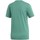 Textiel Dames T-shirts korte mouwen adidas Originals Trefoil Tee Groen