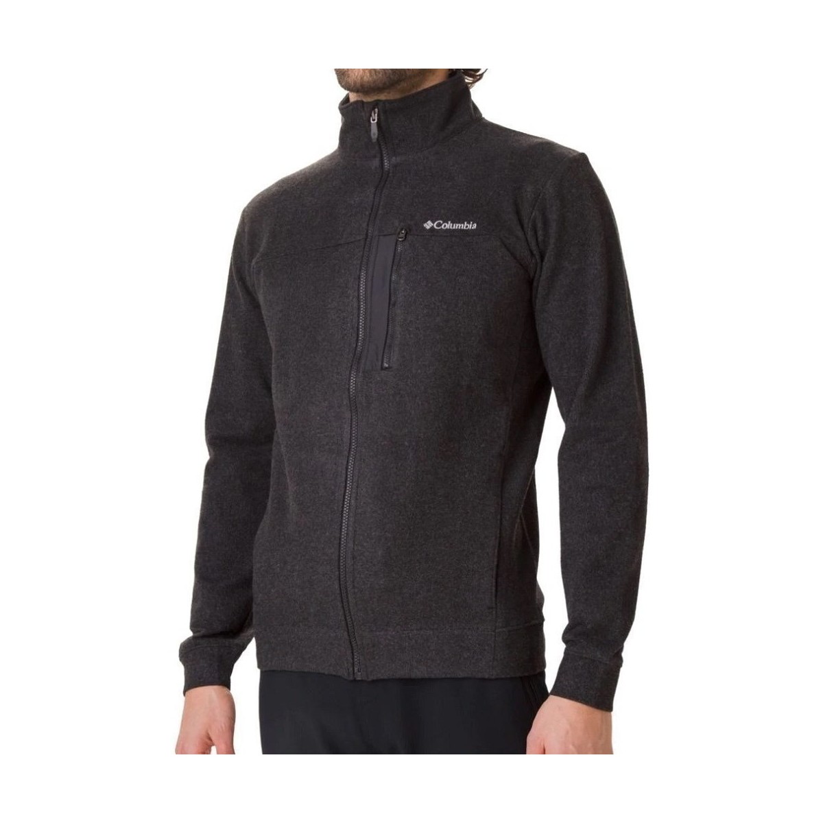 Textiel Heren Sweaters / Sweatshirts Columbia Panorama Graphite