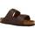 Schoenen Sandalen / Open schoenen Birkenstock ARIZONA BS Brown