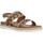Schoenen Dames Sandalen / Open schoenen Stonefly AVRIL 3(334-10)GOA S Brown