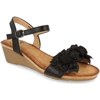 Schoenen Dames Sandalen / Open schoenen Colilai H090 Zwart