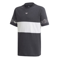 Textiel Jongens T-shirts korte mouwen adidas Originals PANEL TEE Grijs / Wit