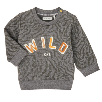 Textiel Jongens Sweaters / Sweatshirts Ikks XR15001 Grijs
