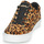 Schoenen Dames Lage sneakers Timberland SKYLA BAY LEATHER OXFORD Leopard