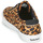 Schoenen Dames Lage sneakers Timberland SKYLA BAY LEATHER OXFORD Leopard