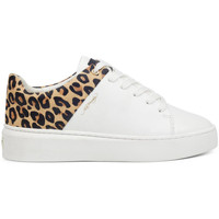 Schoenen Dames Lage sneakers Ed Hardy - Wild low top white leopard Wit