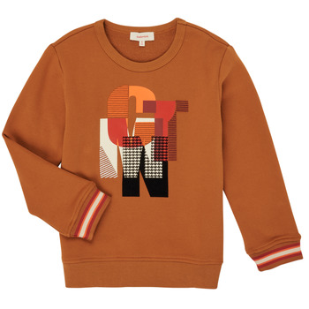 Textiel Jongens Sweaters / Sweatshirts Catimini CR15024-63-C Brown