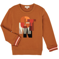 Textiel Jongens Sweaters / Sweatshirts Catimini CR15024-63-J Brown