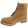 Schoenen Dames Hoge sneakers Timberland 6 IN Premium Boot W Brown