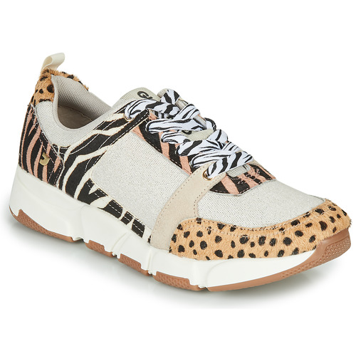 Schoenen Dames Lage sneakers Gioseppo CREAZZO Leopard