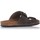 Schoenen Heren Sandalen / Open schoenen Interbios BASKETS  9560 Brown