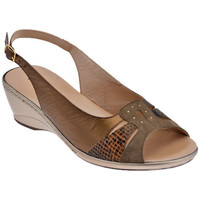 Schoenen Dames Sandalen / Open schoenen Confort  Brown