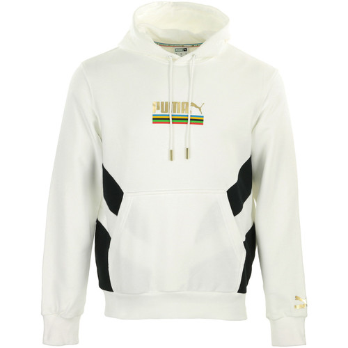 Textiel Heren Sweaters / Sweatshirts Puma TFS Worldhood Hoodie Wit