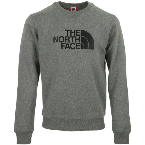 Textiel Heren Sweaters / Sweatshirts The North Face Drew Peak Crew Grijs