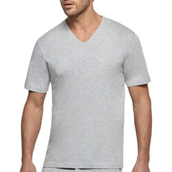 Textiel Heren T-shirts korte mouwen Impetus Essentials Grijs