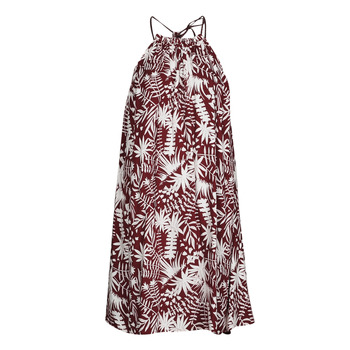 Textiel Dames Korte jurken Freeman T.Porter ROCCA MOROCCO Bordeaux