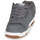 Schoenen Heren Lage sneakers DC Shoes STAG Grijs / Gum