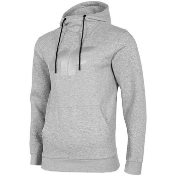 Textiel Heren Sweaters / Sweatshirts 4F BLM002 Grijs