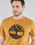 Textiel Heren T-shirts korte mouwen Timberland SS KENNEBEC RIVER BRAND TREE TEE  camel