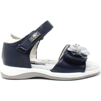 Schoenen Kinderen Sandalen / Open schoenen Miss Sixty S19-SMS570 Blauw