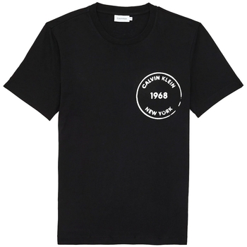 Textiel Heren T-shirts korte mouwen Calvin Klein Jeans K10K104509 Zwart