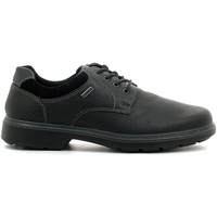 Schoenen Heren Sneakers Enval 6891 Zwart
