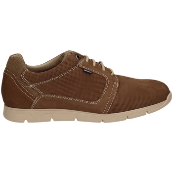 Schoenen Heren Sneakers Baerchi 5080 Brown