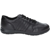 Schoenen Heren Sneakers Enval 2234811 Zwart