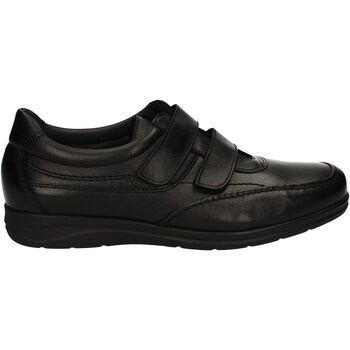 Schoenen Heren Sneakers Baerchi 3805 Zwart