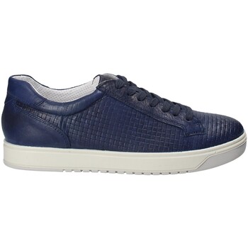 Schoenen Heren Sneakers IgI&CO 1125 Blauw