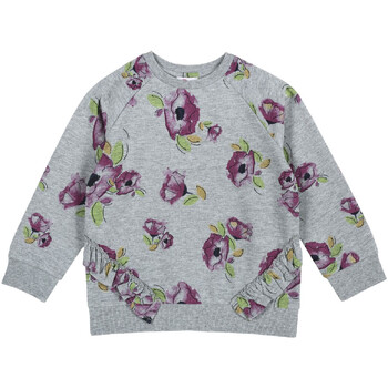 Textiel Kinderen Sweaters / Sweatshirts Chicco 09069347000000 Grijs
