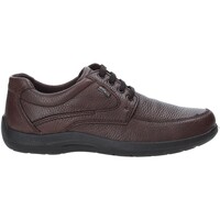 Schoenen Heren Sneakers Enval 4233511 Brown