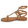 Schoenen Dames Sandalen / Open schoenen Ash PLAY Brown