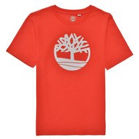 Textiel Jongens T-shirts korte mouwen Timberland LOLLA Rood